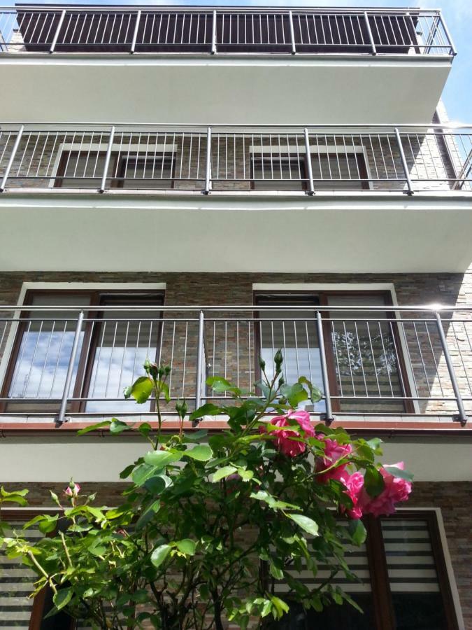 Homestay Goscinne Steyera 30 Ozonowane